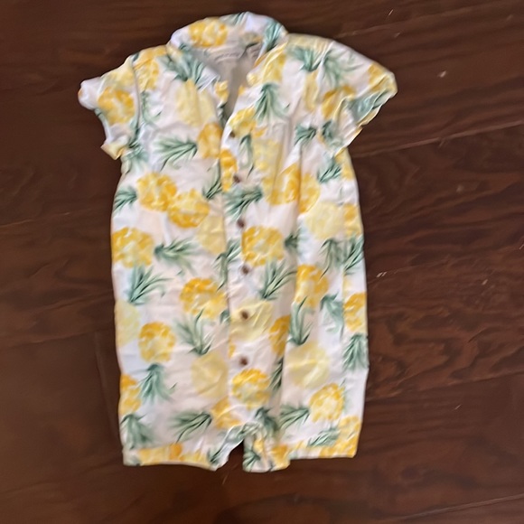 1st Birthday Pineapple Boy Cake Smash Photo Janie & Jack Outfit Set - Picture 5 of 8